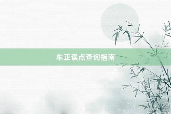 车正误点查询指南